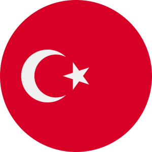 367,055 Turkey Consumer Email List Database (2024 Updated)