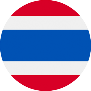 38K Thailand Business Email List Database (2024 Updated)