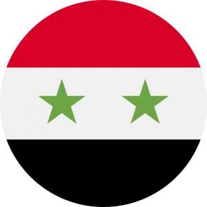 81K Syria Business Email List Database (2024 Updated)
