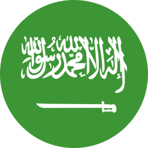 437K Saudi Arabia Consumer Email List Database (2024 Updated)