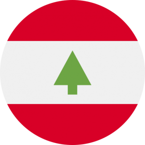 71K Lebanon Business Email List Database (2024 Updated)