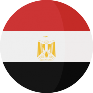 828K Egypt Consumer Email List Database (2024 Updated)